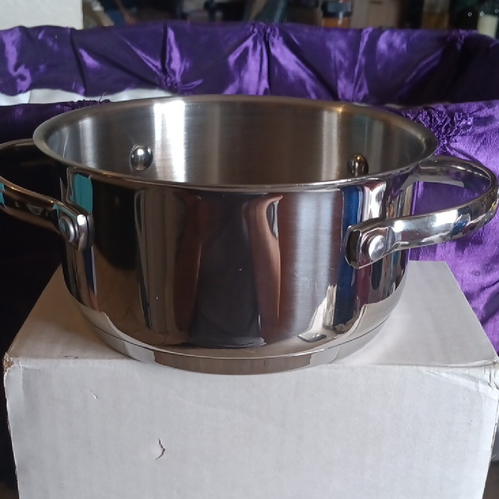 Princess House Stainless Steel Cookware Pot 1QT